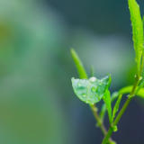 吴茂盛：春风桃李  秋水文章——《从春雨到秋雨》序