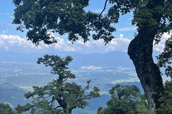 微信图片_20220713105900.jpg 微信图片_20220713105900.jpg