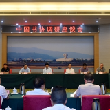 中国书法家协会来湘调研湖南书法工作