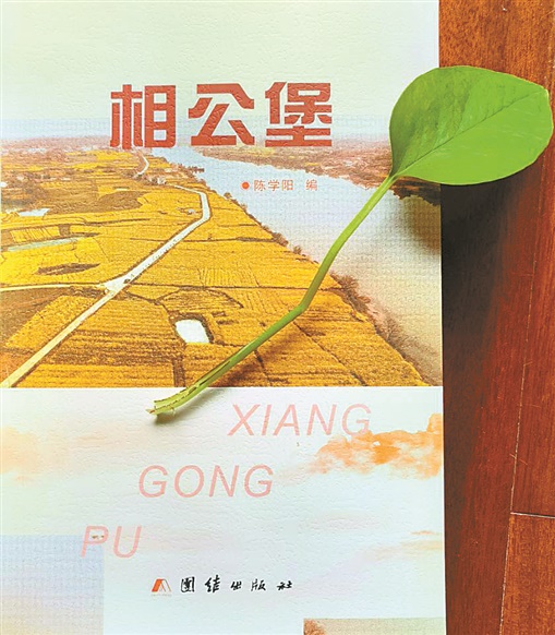 《相公堡》书影.jpg