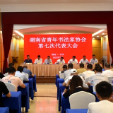 湖南省青年书协第七次会员代表大会召开 钟全昌当选新一届主席