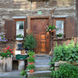 湘江文艺丨杨献平：同胞