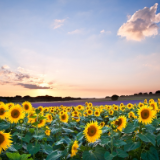 散文丨罗志刚：爸爸是生命跑道上的赢家