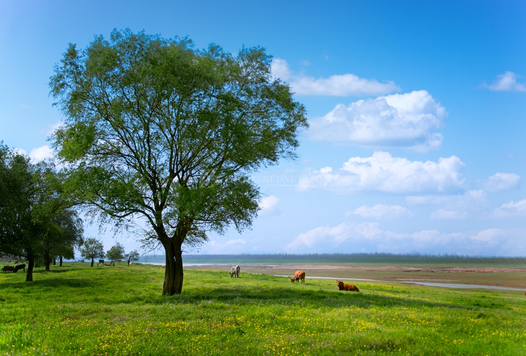 灵魂同伴1.jpg 灵魂同伴1.jpg