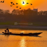 诗词丨伍锡学：一群红鹭惊飞起，正值朝阳照过来