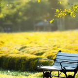 诗歌丨刘翼平：今夜，我在桐冲口湿身