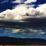 散文丨顾锁英:漠风吻过潇湘雁