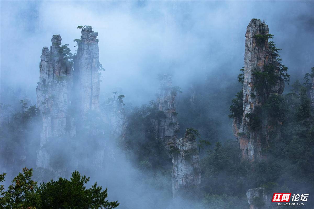 烟雨张家界——曾启武摄.jpg