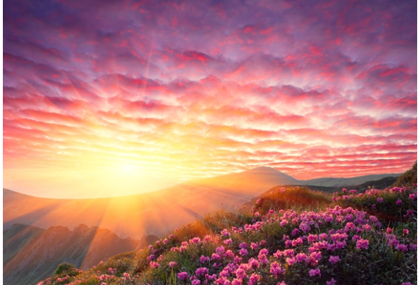 凝思杂记丨李学全：希望，是支撑艰难前行的拐杖