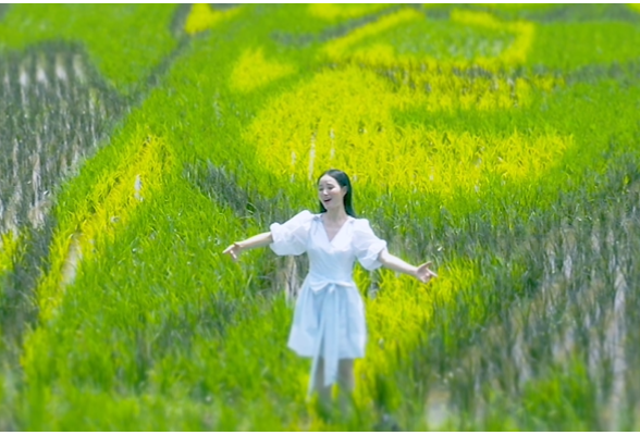 音乐丨湖南民歌·我唱你听：陈香水《浏阳河边稻花香》