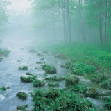 最后2天截稿，张家界诗歌节邀你一起分20万奖金