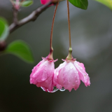 诗评丨一川：在有温度的想象共同体中，陈新文是一个简洁的人