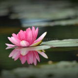 诗歌时刻丨大解:我用胳膊抱住了自己,尽力安慰这个孤身自救的老人