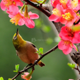 诗评丨一川:在另外一种诗格中,杨克找到了新符号的意义