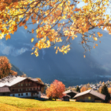 散文丨舒维秀:去向家地村旅游的理由