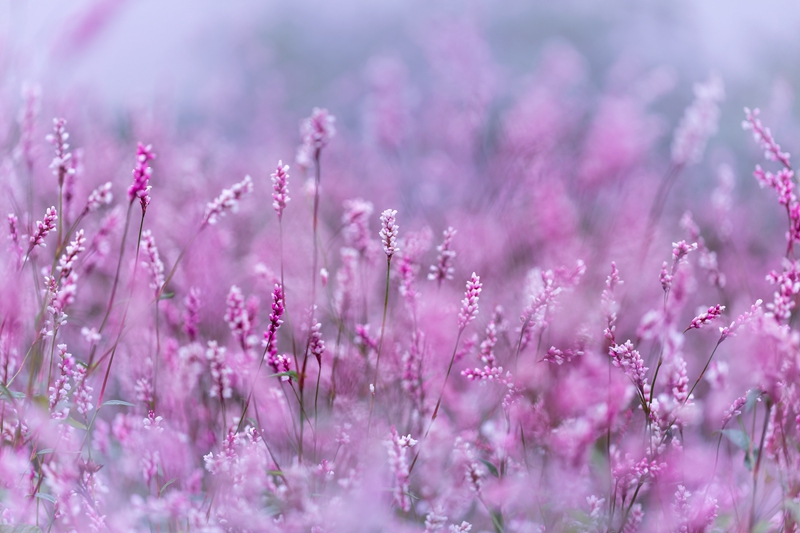 622af5e16008b_副本.jpg 622af5e16008b_副本.jpg