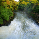 散文丨杨丹:愚溪,愚溪