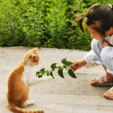 手记丨刘晨曦：《云母溪风物记》
