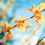 诗歌丨欧阳斌：立秋