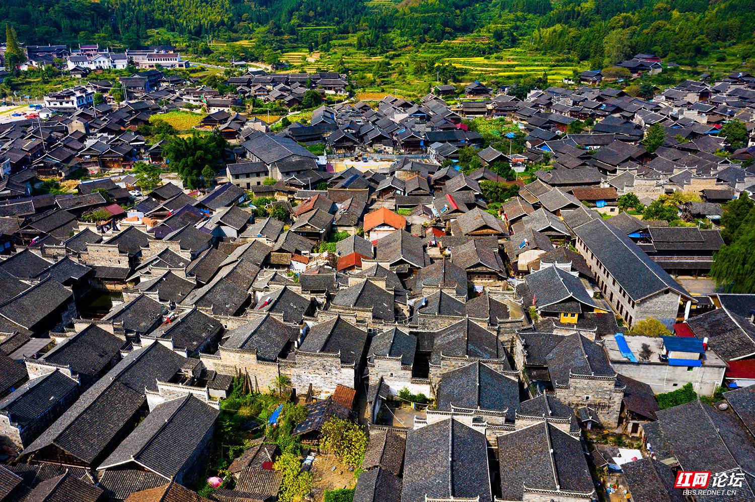 高椅5.摄影:田文国.jpg 高椅5.摄影:田文国.jpg