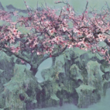 黄礼攸：与张家界山水对上了眼