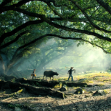 诗歌时刻丨白公智：我不下手，谁也看不透我的命运