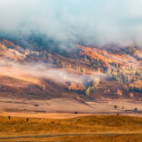 诗歌时刻丨笨水：在无人的地方走，等人忘记