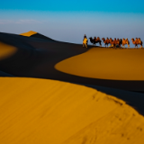 诗歌时刻丨简笺：手握玫瑰与拐杖，我即将在沙漠里睡去