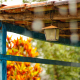 湘江文艺丨王跃文：香炉记（外一篇）