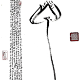 随笔丨赵涛：莲想