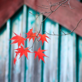 芙蓉·小说丨杨晓升：过程