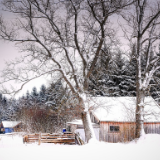 诗歌时刻丨谢午恒：我要和你西窗秉烛，一饮千里风霜雨雪