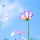 诗评丨一川：从自身的缘构发生中，抵达大解的无用之用