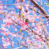 凝思杂记丨李学全：除了对你偏心，对谁都一视同仁