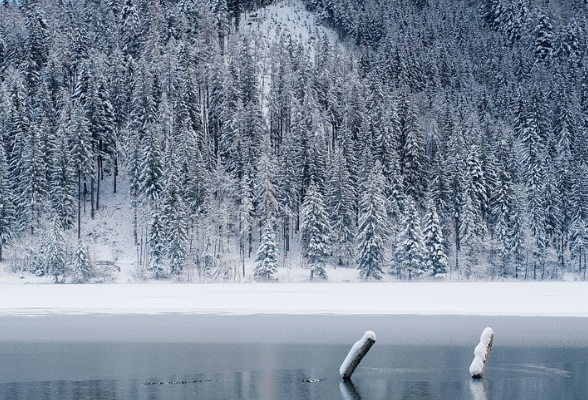 小小说丨戴希:命运