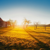 美文丨石川：有一种明亮，叫自知