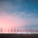 诗歌丨杨寒沁：有些话得趁清醒，说给黑夜里的草木听