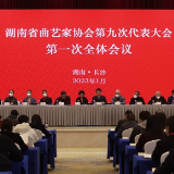 湖南省曲艺家协会第九次代表大会召开 任军（大兵）当选主席