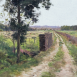 诗歌丨雪马：原谅我不能提前衰老，和你白头偕老