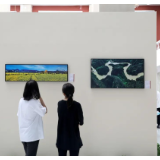 艺评丨胡紫桂：山水画卷中的艺术盛宴