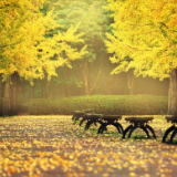 诗评丨周维强：内心的咏唱和素朴的表达