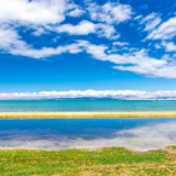 创作·诗歌丨谷禾：高原独行者