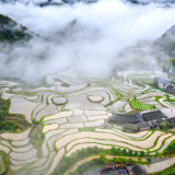 散文丨向立成：穿越风景