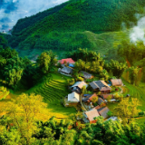 生态文学丨杨震：如果把石头收藏起来，只有青山和碧水才有这样的勇气