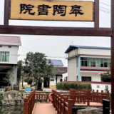 散文丨蒋集政：水美金洲