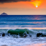 创作·诗歌丨马迟迟:海上花