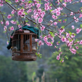 岸无界则决堤，人有界方相宜