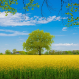 湘江文艺丨聂鑫森:百姓影像(三题)