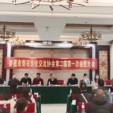 娄底市奇石文化交流协会换届