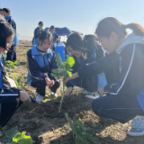 随笔丨邓乐凯：赴一场种子约会